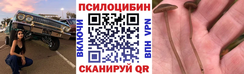 Галлюциногенные грибы MAGIC MUSHROOMS  Магнитогорск 